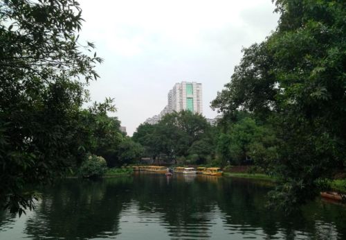 繁市中的休闲静地，以竹林为主的广州晓港公园
