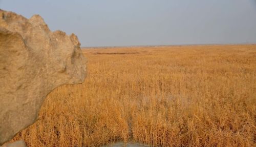 中国海拔最低的地方是哪个湖(中国海拔最低的海)