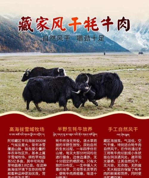 细说西藏风干牦牛肉是真的吗(西藏风干牦牛肉如何吃)