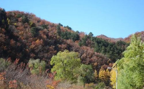 穷山富路是什么意思(穷山什么)