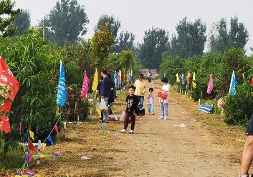 天民田园新型种植园地址(天民田园新型种植园在哪里)