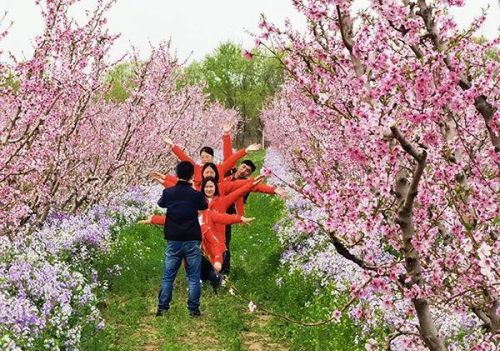 天民田园新型种植园地址(天民田园新型种植园在哪里)