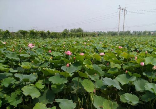 忆旧日时光,行今日(忆旧时是什么意思)