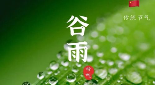 谷雨是每年农历几月几号