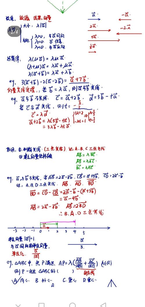 高考向量知识点归纳(高考向量知识点与公式总结)