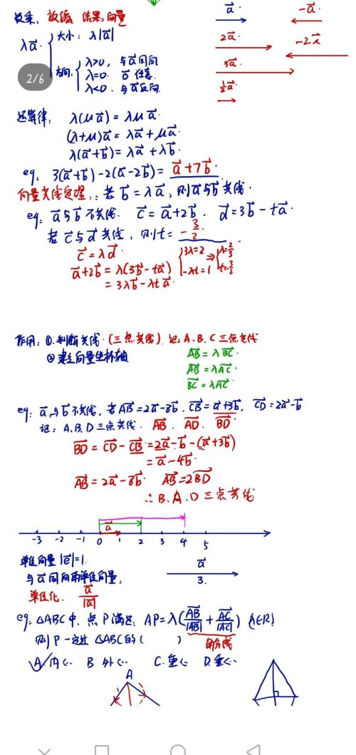 高考向量知识点归纳(高考向量知识点与公式总结)