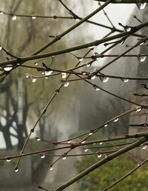 冬天里的小雨淅沥沥沥(初冬的小雨淅淅沥沥)