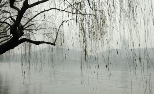 冬天里的小雨淅沥沥沥(初冬的小雨淅淅沥沥)