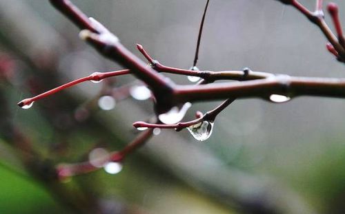 冬天里的小雨淅沥沥沥(初冬的小雨淅淅沥沥)