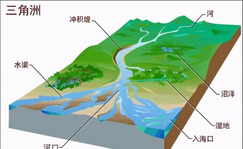 平原海岸和山地丘陵的特点及分布情况(平原 丘陵 山地 高原)