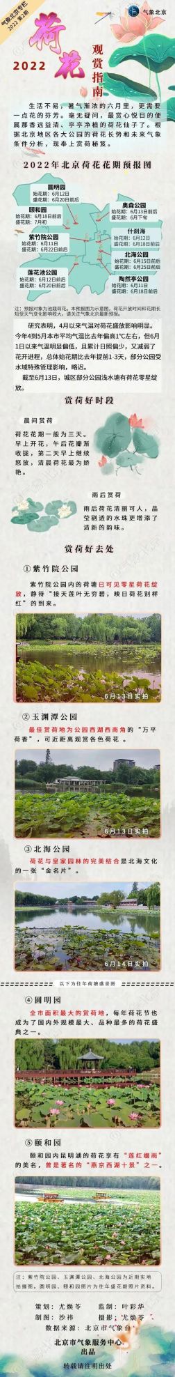 北京观赏荷花的公园(北京公园的荷花什么时候开放)