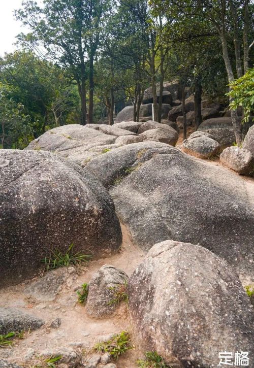 深圳十大绝美绿道(深圳绿道大全)