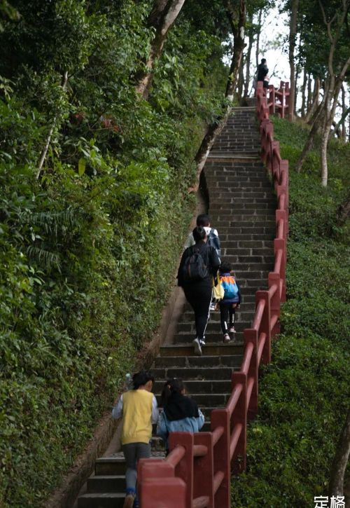 深圳十大绝美绿道(深圳绿道大全)