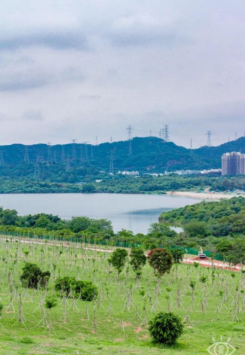 深圳十大绝美绿道(深圳绿道大全)