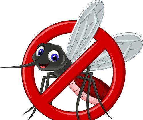 蚊子冬天被冻死夏天的蚊子哪来的(蚊子在冬天还是夏天)