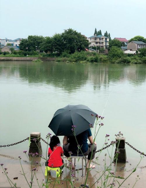 买钓箱还是买钓椅太纠结了(是买钓箱好还是钓椅好)