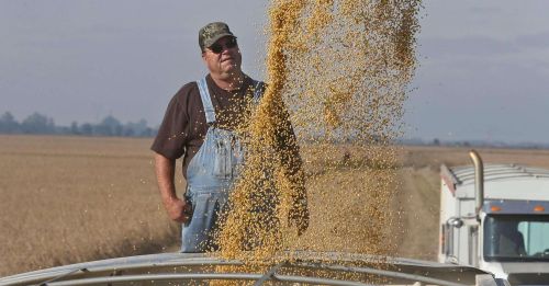 美国中国粮食总产量比对(中国 美国 粮食产量)