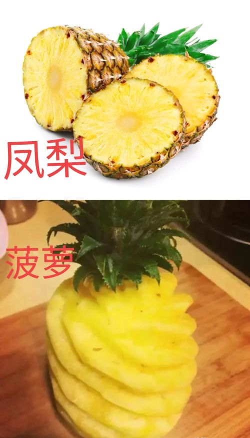 凤梨和菠萝是一个品种吗有什么区别(凤梨和菠萝的区别在哪里?)