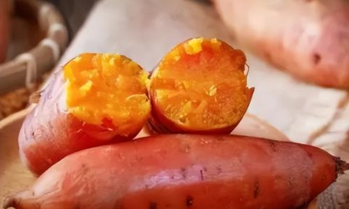 红薯杀癌细胞吗