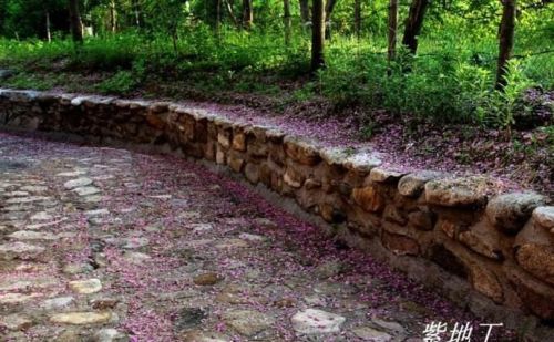 风雨彩虹藏头诗(风雨人生藏头诗)