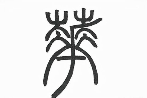 花字的汉字演变过程(花字的起源和演变)