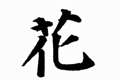 花字的汉字演变过程(花字的起源和演变)