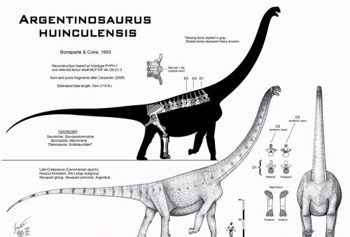 从古到今,地球上最大的生物是什么生物(从古至今地球上最大的生物)