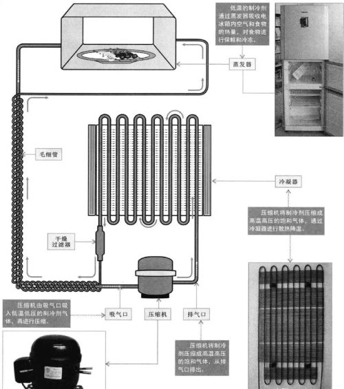 电冰箱压缩机的结构和功能原理