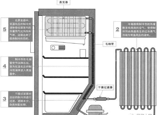 图解电冰箱的制冷原理