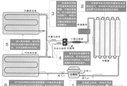 图解电冰箱的制冷原理