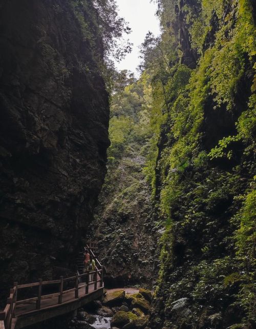 重庆周边旅游必去十大景点推荐(重庆周边热门旅游景点)