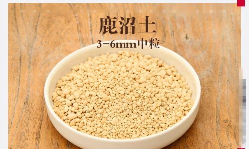 种菜的土和种花的土有什么区别(种菜用的土叫什么)