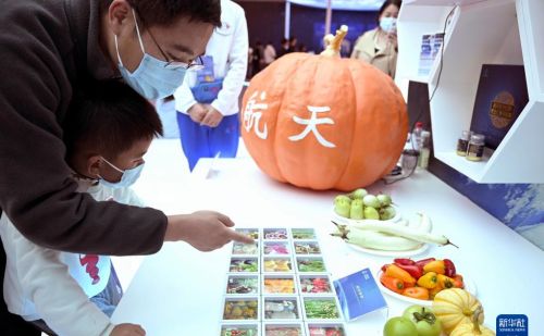 安徽：走进航天科普展 共筑太空梦