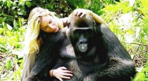 人类和黑猩猩存在生殖隔离，这个现象最初是如何发现的？