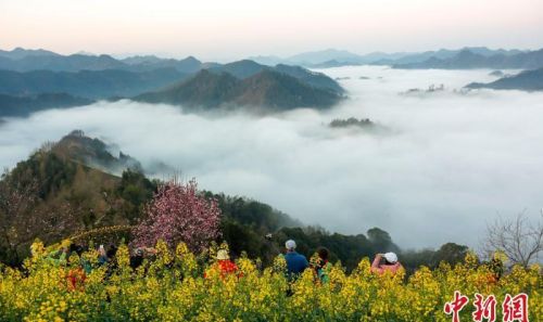 安徽黄山：云绕山峦绘春色