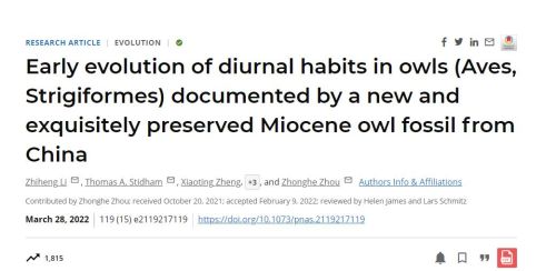 600万年前，青藏高原一只猫头鹰刚吃饱，还没有消化就成了化石