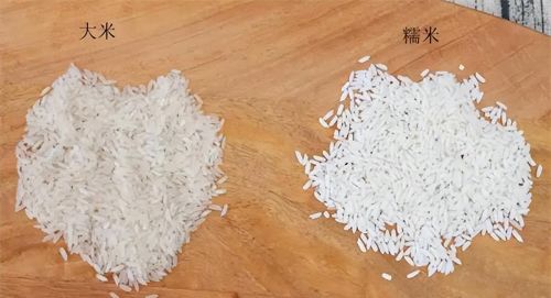 糯米的营养这么高，把它作为每顿的主食代替米饭，会有什么后果？