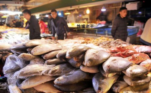 春季吃鱼：懂行人专挑这5种鱼，都是深海捕捞，价格便宜营养高