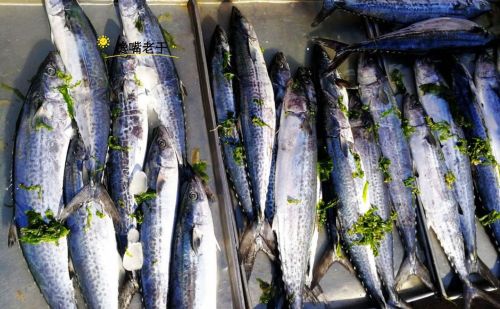 春季吃鱼：懂行人专挑这5种鱼，都是深海捕捞，价格便宜营养高