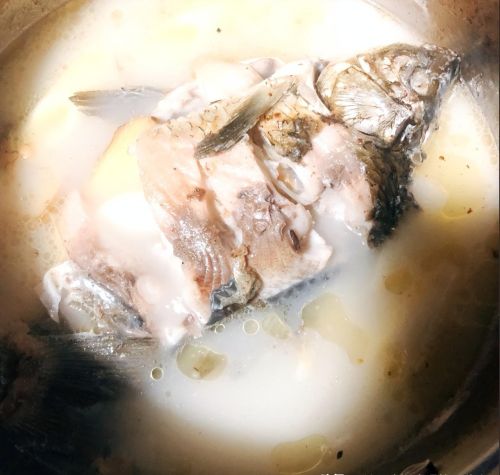 不管煮什么鱼汤，牢记这4点，鱼汤奶白鲜美，香浓没腥味，真好喝