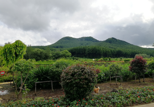 九台区马鞍山村：春风起，美丽山村游起来