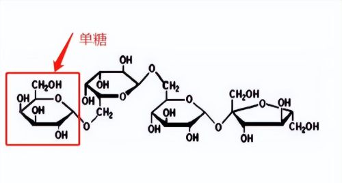 建议中老年人：早餐少吃馒头和稀饭，多吃这4类，低脂饱腹又健康