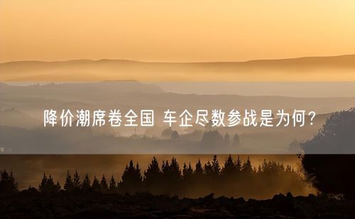 工厂停工令人担忧，比亚迪厂库存“堆积如山”，制造业陷入寒冬