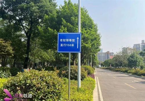 乘坐中老铁路国际旅客列车，在昆明办理老挝签证详细指南