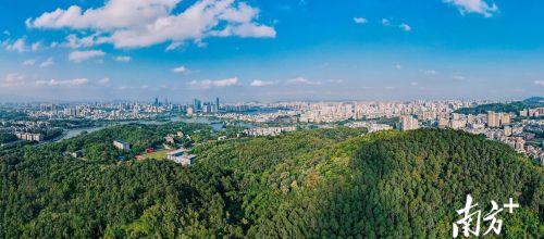 绿美广东看惠州｜山水之城，所见皆景