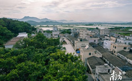 绿美广东看惠州｜山水之城，所见皆景