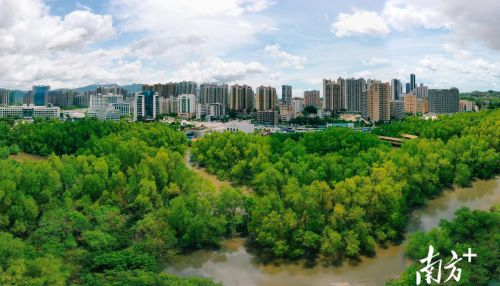 绿美广东看惠州｜山水之城，所见皆景