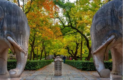 中国规模最大的帝王陵墓，就落座在江苏这座了不起的城市里