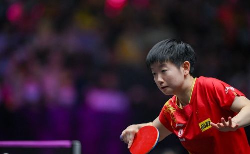 国际乒联世界排名，5个单项第一！樊振东、孙颖莎无惧扣分窗口期