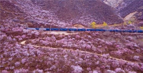 列车穿过花海驶向春天深处 看看春天的铁道线到底有多美